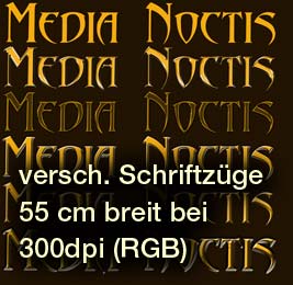 Schriftzug Media Noctis